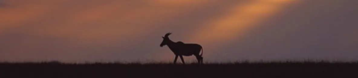 Serengeti National Park - Central