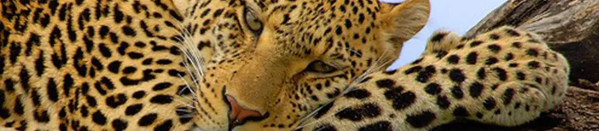 Serengeti National Park - Central