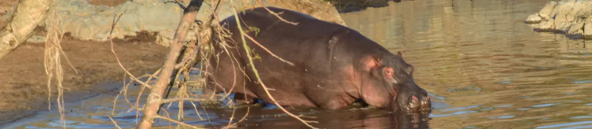 Serengeti National Park - Central