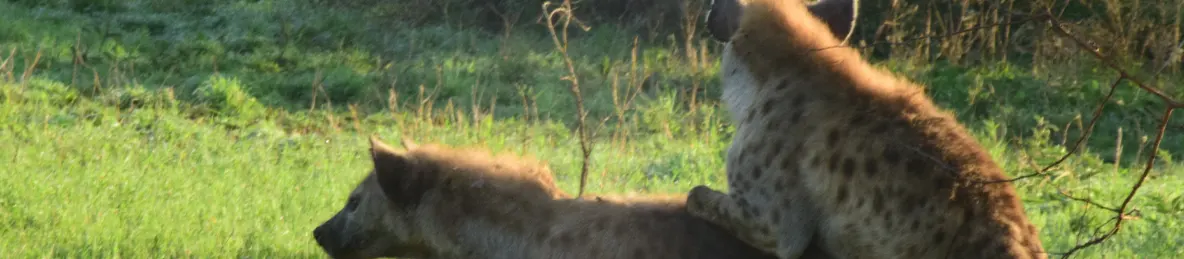 Serengeti National Park - Central
