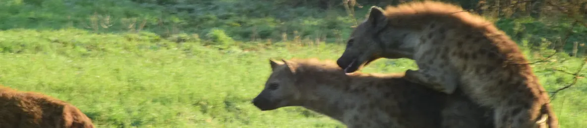 Serengeti National Park - Central