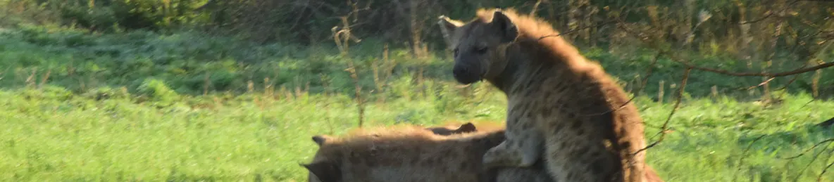 Serengeti National Park - Central
