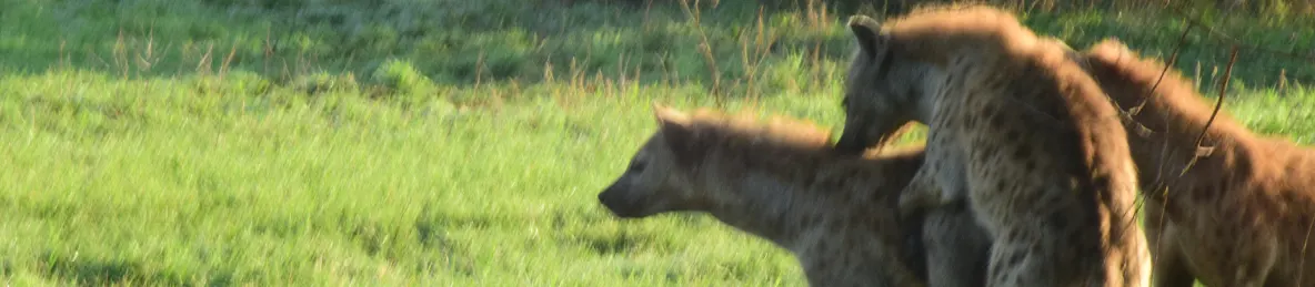Serengeti National Park - Central