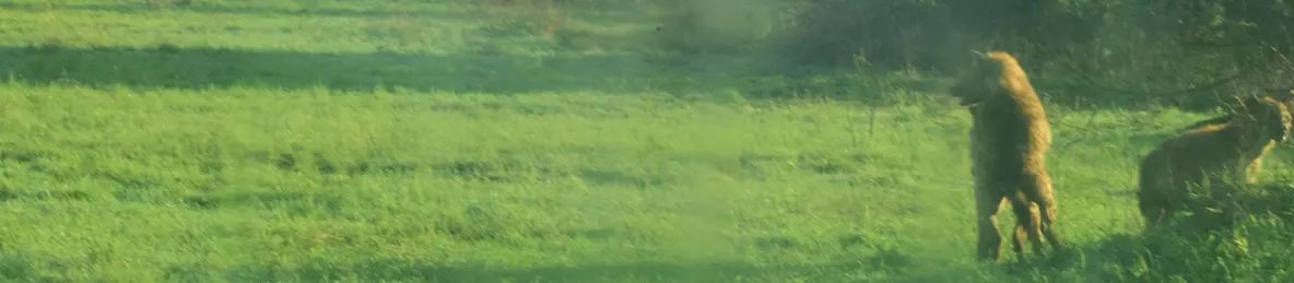 Serengeti National Park - Central