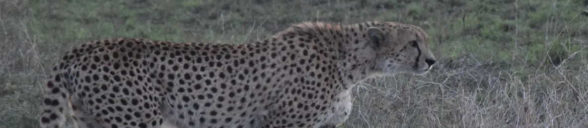 Serengeti National Park - Central