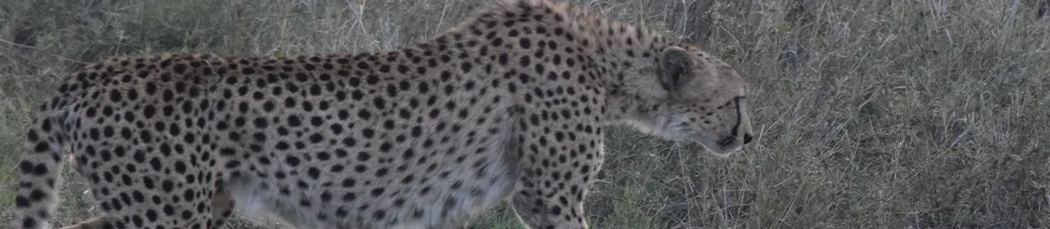 Serengeti National Park - Central