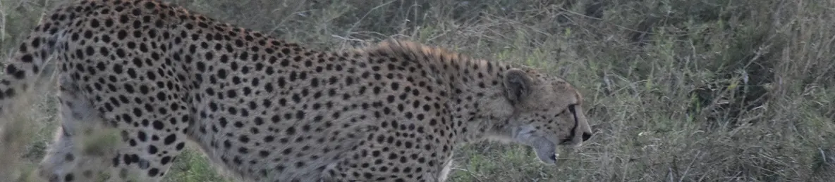 Serengeti National Park - Central