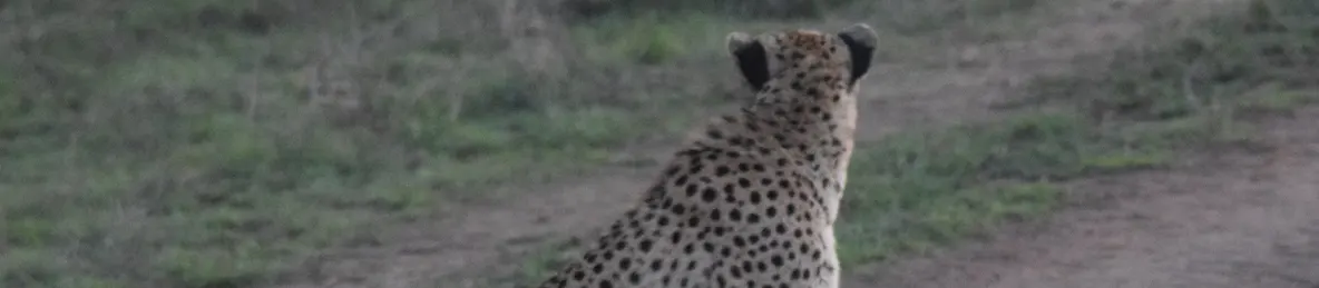 Serengeti National Park - Central