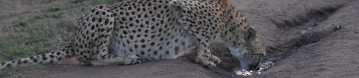 Serengeti National Park - Central