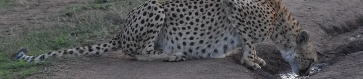 Serengeti National Park - Central