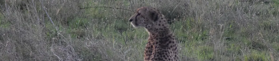 Serengeti National Park - Central