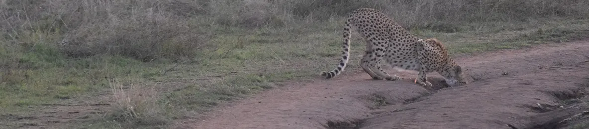 Serengeti National Park - Central