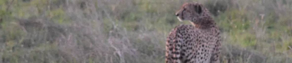 Serengeti National Park - Central