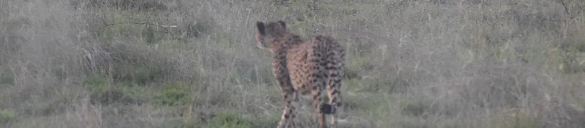 Serengeti National Park - Central