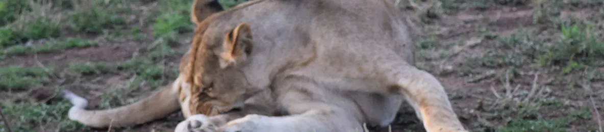 Serengeti National Park - Central