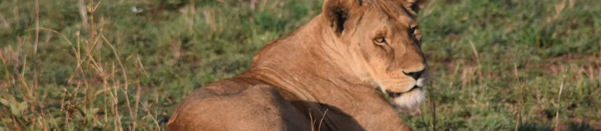 Serengeti National Park - Central
