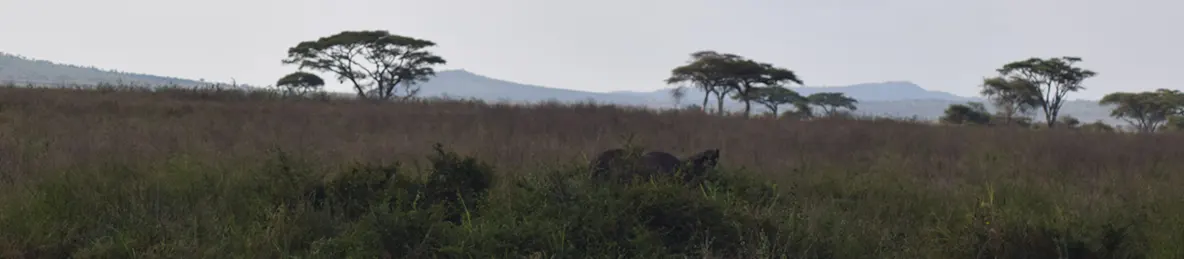Serengeti National Park - Central