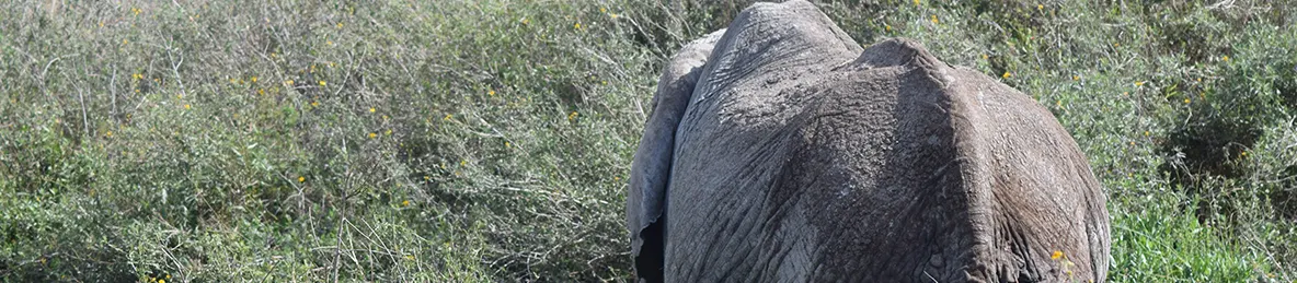 Serengeti National Park - Central