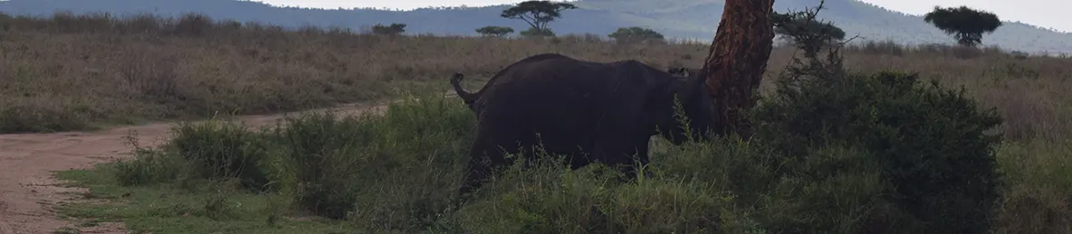 Serengeti National Park - Central