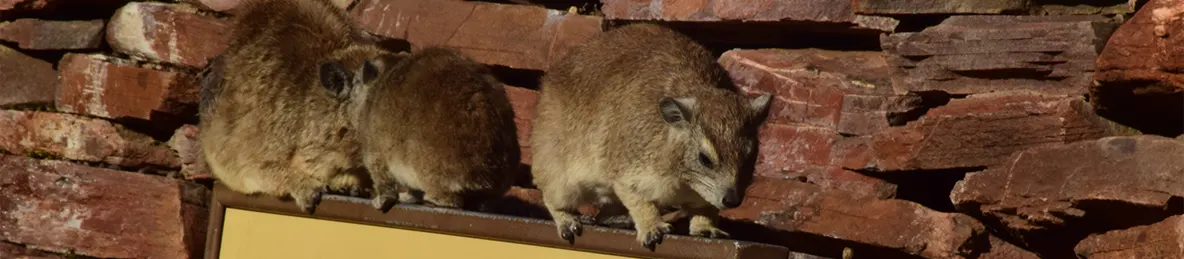 Serengeti National Park - Central
