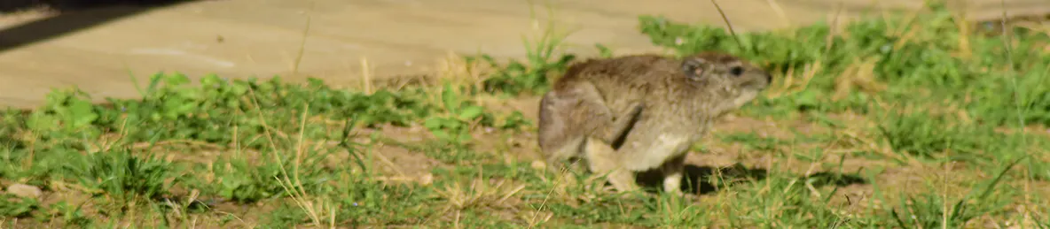 Serengeti National Park - Central
