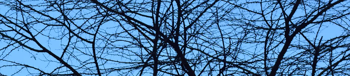 Serengeti National Park - Central