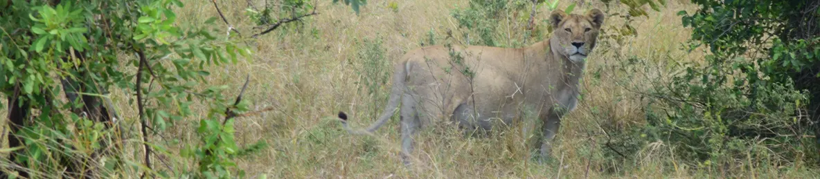 Serengeti National Park - Central