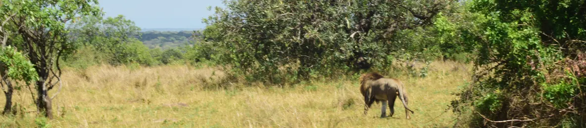 Serengeti National Park - Central