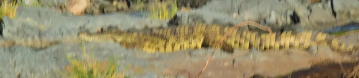 Serengeti National Park - Central