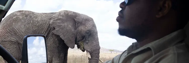 Ngorongoro Crater Full-Day Tour Back to Arusha 