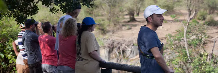 Central Serengeti Full Day Tour 