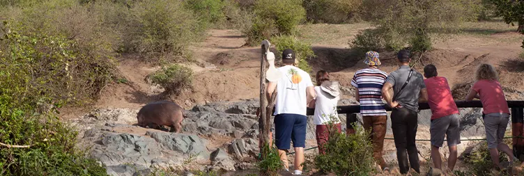 Manyara to Serengeti (Afternoon Game Drive) 