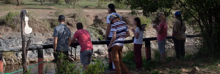 Arusha to Central Serengeti 