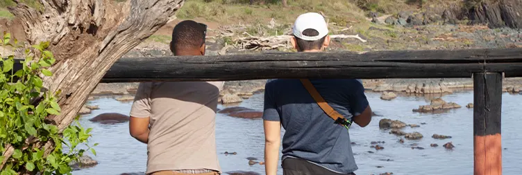 Central Serengeti Full Day Tour: 