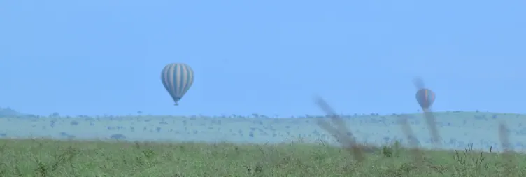 Arusha to Central Serengeti