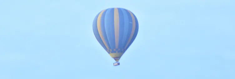 Central Serengeti Full Day Tour