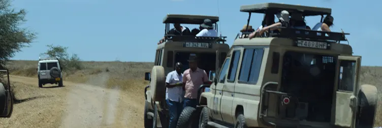 Central Serengeti Full Day Tour 
