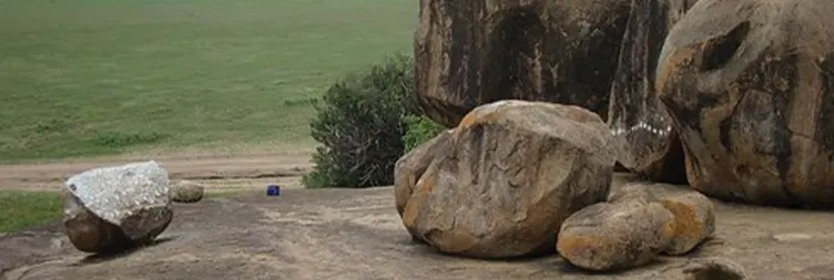 Central Serengeti Full Day Tour 