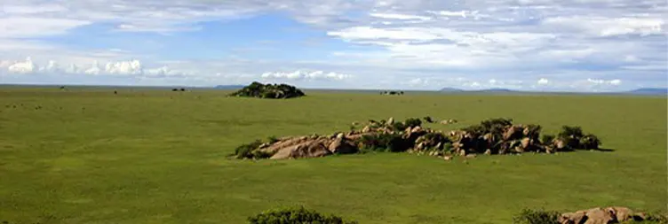 Ngorongoro Crater Tour back to Arusha 