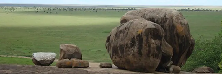 Central Serengeti Full Day Tour 