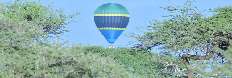 Manyara to Serengeti (Afternoon Game Drive)