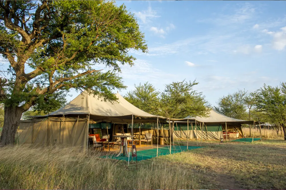Serengeti Wilderness Camp Images