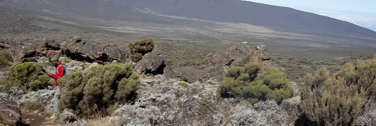 Continue climb across Shira Camp 1 to Shira Camp 2