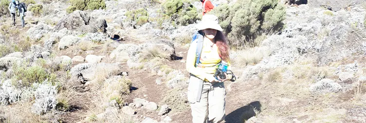 Shira 1 Camp to Shira 2 Camp, 3rd day of 9 days Kilimanjaro climbing
