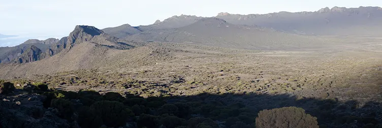 Mweka camp â€“ Mweka gate â€“ Back to Moshi/Arusha