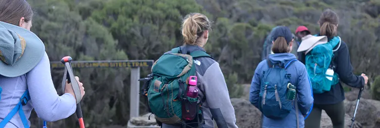 Shira 1 Camp to Shira 2 Camp or Moir Hut