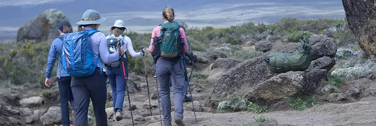 Climbing from Shira 1 Camp to Shira 2 Camp
