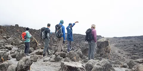 8 Days Explore Kilimanjaro Trek Lemosho Route