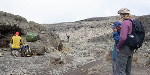 9 Days Conquer Kilimanjaro Northern Circuit Trekking 