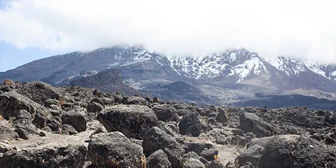 9 Days Trekking Mt Kilimanjaro via Northern Circuit Route